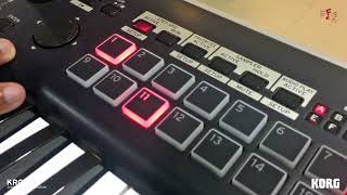 Process of Loading Indian Sound on Korg Kross 2 [upl. by Augusto727]