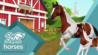 4 NEW CODES IN STAR STABLE THAT YOU NEED TO REDEEM NOW [upl. by Aehr727]