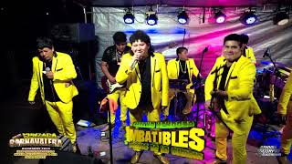 LOS IMBATIBLES BRAVOS de la CUMBIA  Mix MI DESGRACIA   DR [upl. by Lleryt]