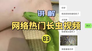 4K  网络热门长虫视频83粉丝说他叔叔被毒蛇咬伤！拿假照片找龙雅鉴定？结果竟然是个大青椒！【世界记忆大师龙雅】 [upl. by Sullecram]