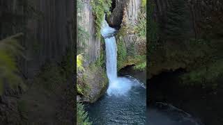 Nature at its best Toketee falls will take your breath away waterfall oregon travel [upl. by Etnaihc]