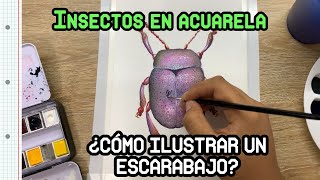 🪲 Insectos escarabajos en acuarela Tips para dibujarlos [upl. by Tildy]