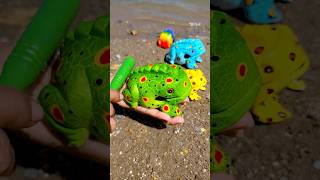 Funny Frog ASMR  Cutie Wooden Frog shorts [upl. by Lyle]