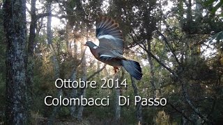 Colombacci di Passo 2014 [upl. by Lach]