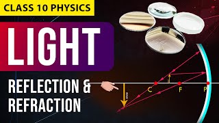 Light  Reflection amp Refraction FULL CHAPTER in Animation  NCERT Science  CBSE Class 10 Chapter 1 [upl. by Maxia]