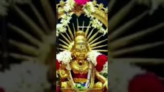 5kondalapinya unna ayyappa swami sharanam🌹🌹🙏🙏 [upl. by Alon721]