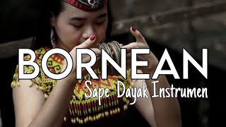 Bornean  Helmy Trianggara Official Music Video Sape Dayak Kalimantan [upl. by Jaehne433]