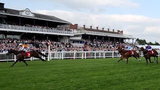 LETHAL LEVI wins the Ayr Gold Cup under Clifford Lee jockey [upl. by Karoline]