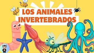 Los animales invertebrados y sus tipos [upl. by Aniled]