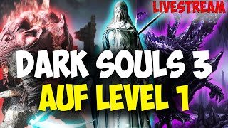 Das große Level 1 Projekt Dark Souls 3 9 [upl. by Yaner]