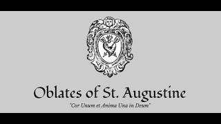 Advice for Br Martin Oblates of St Augustine on New religious communities [upl. by Asyar586]