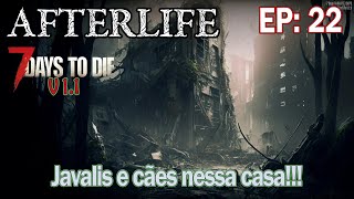 7D2D Mod AfterLife 11v EP 22  A casa dos Javalis e Cães [upl. by Adnirem]