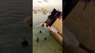 Funny dolphin wrong way in Zanzibar beach  Im so sad on this  please support [upl. by Tema199]