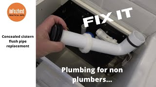 Replacing a concealed Cistern Flush Pipe [upl. by Artsa631]