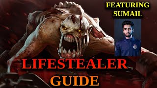 How To Play Lifestealer  732c Basic Lifestealer Guide [upl. by Berni]