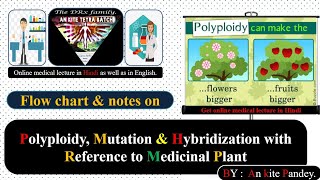 Polyploidy Mutation amp Hybridization with Reference to Medicinal Plant in Hindi  Polyploidy [upl. by Biamonte738]