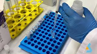 02  DNA Isolation from bacterial culture [upl. by Esirec656]