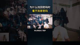 为什么找回密码时，看不到原密码？网络安全 遊戲 黑客 web3 cybersecurity 游戏 hacker chatgpt 程序员 熱門 [upl. by Frey269]