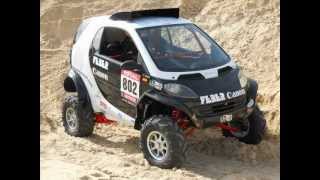 Dakar 2013 Smart Feber [upl. by Onitselec]