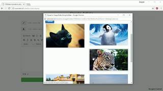 Image file browser from server for ckedior in php and mysql part6 [upl. by Kcirredal]