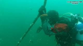 Dive Aberdeen Cove Bay Harbour Polish Diving Scotland [upl. by Espy]