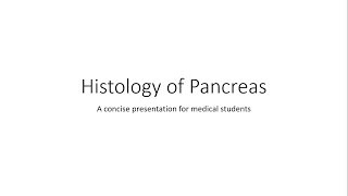 Pancreas  Histology [upl. by Salkcin267]