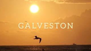 Coleton Wilcox  Galveston Official Lyric Video [upl. by Aicrag]