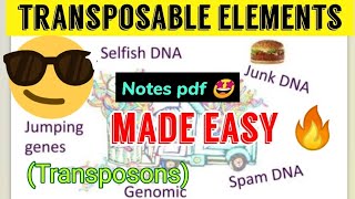 Transposable Elements Transposons Jumping genes  Made easy😎 [upl. by Lorien14]