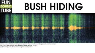 Bush Hiding Sound Effect [upl. by Nylorac]