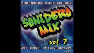 Sonidero Mix Vol 2 Disco Completo [upl. by Yrohcaz]