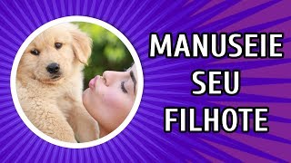 PORQUE É IMPORTANTE MANUSEAR O FILHOTE DESDE CEDO [upl. by Jeffers]