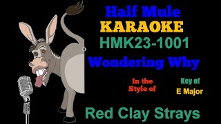 Red Clay Strays  Wondering Why Karaoke [upl. by Llertnad]