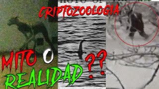 Criaturas Legendarias y Criptozoología ¿Mito o Realidad [upl. by Innig515]