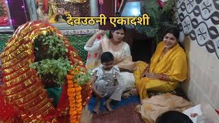 देवउठनी एकादशी तुलसी विवाह youtubeshorts तुलसी पूजा shortvideos viralvideo jai mata di 🙏🏻🌺 [upl. by Nymassej]