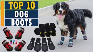 Best Dog Boots in 2022 🐶 Top 10 Picks [upl. by Worra600]