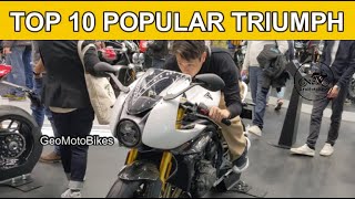 Top 10 Most Popular Triumph Motorcycles You Can Enjoy 2025 [upl. by Trilly]