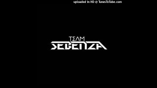 Team Sebenza Kuzolunga Ngenyemini [upl. by Marcile738]