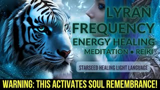 Lyran Night of Manifestation～Starseed Awakening～Activation Frequency～Meditation Music～Light Language [upl. by Lechner]