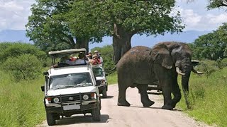 top 10 Tourist attractions places in Uganda for you [upl. by Eintruoc]