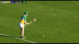 ADAM SCREENEY FREE  OFFALY V TIPPERARY  2024 ALL IRELAND U20 HURLING FINAL [upl. by Rebm428]