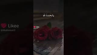 ١ ديسمبر ٢٠٢٤ [upl. by Pet]