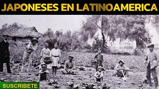 LA INMIGRACIÓN JAPONESA A LATINOAMÉRICA EN EL SIGLO XIX [upl. by Adnahs]