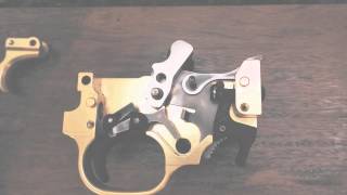 Ruger 1022 Triggerquotand how it worksquot [upl. by Prudence]