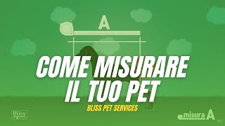 COME MISURARE il tuo PET per SCEGLIERE il TRASPORTINO ▶︎ TUTORIAL [upl. by Renrew]