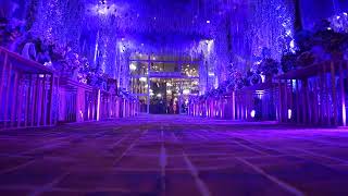 The Wedding Resort Zirakpur Chandigarh  Night Shoot  2023 [upl. by Skilken]