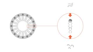 What is a micelle [upl. by Sitrik]