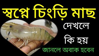 স্বপ্নে চিংড়ি মাছ দেখলে কি হয় sopne Chingri mach dekhle ki hoy sohih amol [upl. by Lashar]