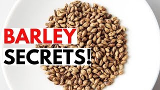 Barley  Barley Benefits For Weight Loss  Science of Barley [upl. by Nobel]