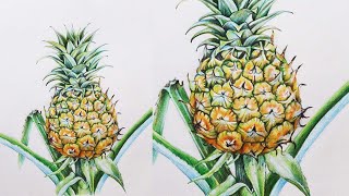 Pineapple Drawing in Color Pencils  How to a Pineapple  Fruit Drawing [upl. by Gawlas]