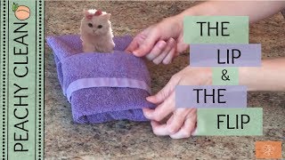 The Fancy but Shockingly Easy Towel Fold Youve Got to Try [upl. by Donoghue288]